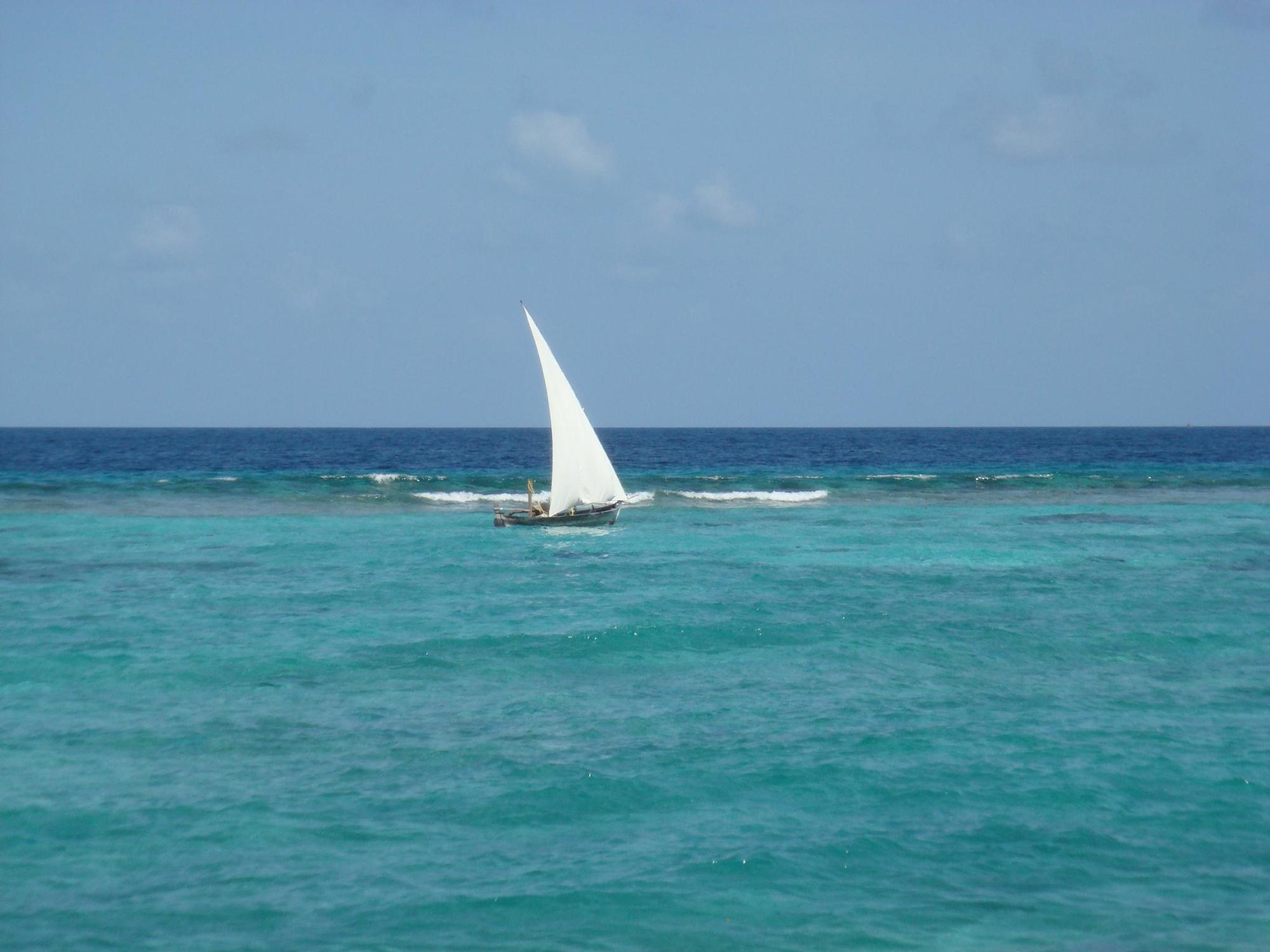 Lvis Boutique Hotel Malé Eksteriør billede
